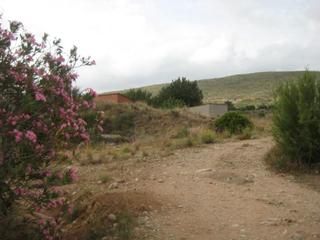 Terreny residencial a Macastre
