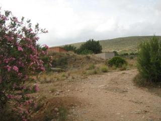 Terreny residencial a Macastre
