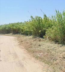 Finca rústica a Plaça numero 19 dosel 783