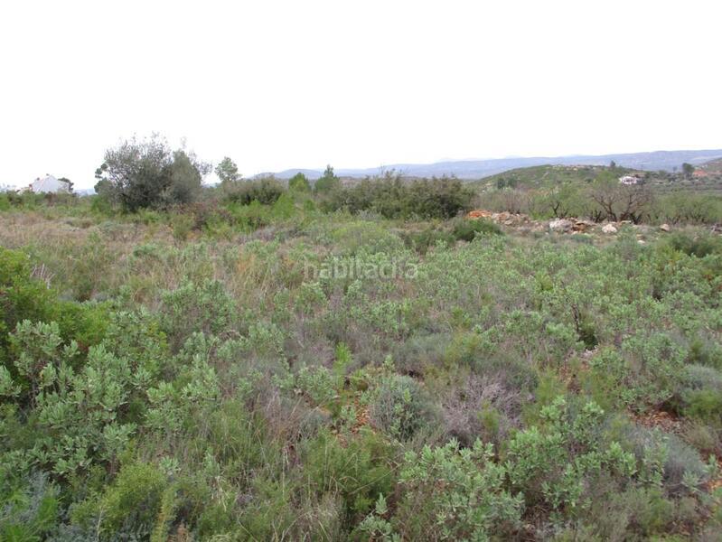 Foto 0e6db04d-ac3b-424c-bee3-7b9590451e64. Terreno residencial en llanorel en Macastre