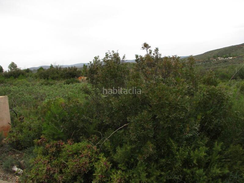 Foto bf48cf87-3c71-4d5b-8790-2b55fbd1477c. Terreno residencial en llanorel en Macastre