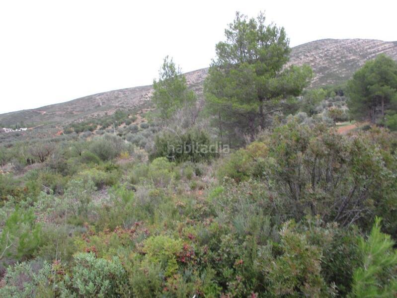 Foto fa9f1ddd-14a8-4c15-a386-d73262c21f96. Terreno residencial en llanorel en Macastre