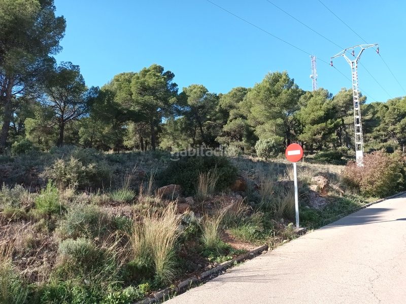 Foto 5e9d69d2-0b19-4803-bb3c-bca4cf887077. Finca rústica a poligono 35 a Serra