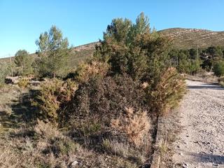 Residential Plot  Llanorel, 14