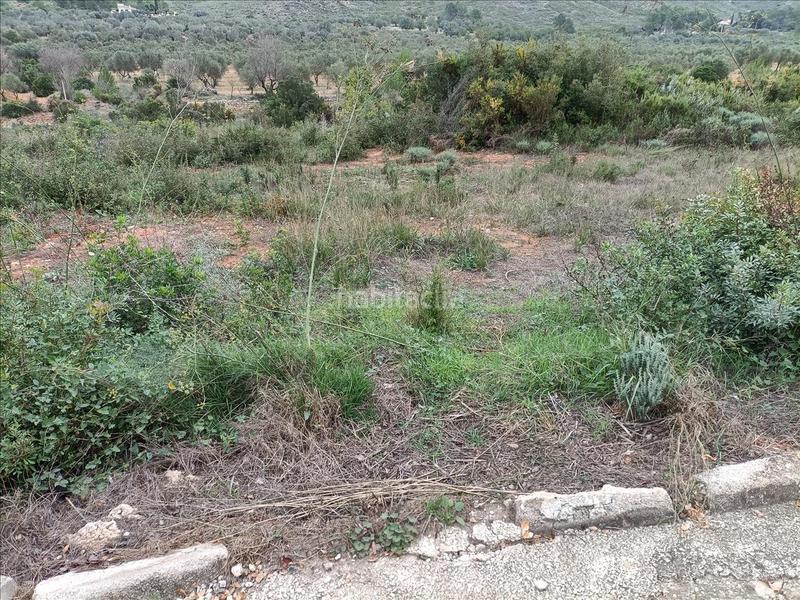 Foto c7628294-73cb-4da7-9e1b-dcc7730c4671. Terreno residencial en llanorel en Macastre