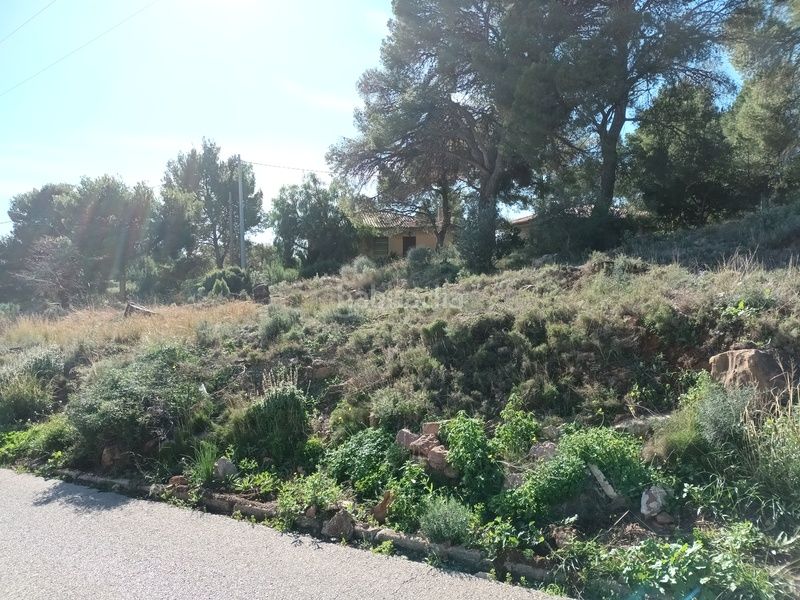 Foto 75d13dfa-ee7c-4c29-8958-e6e59e9039f1. Finca rústica en poligono 36 en Serra