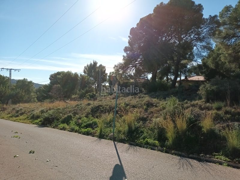 Foto a4e92d1f-0179-4cbe-8f14-c1851f8c4748. Finca rústica en poligono 36 en Serra