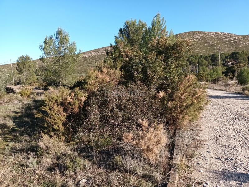 Foto 09bc8c2f-0d5b-4640-8657-b0540c171ac5. Terreno residencial en llanorel en Macastre