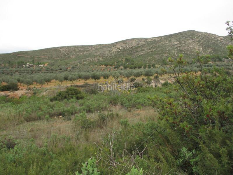 Foto dba0b681-384c-40cd-ad11-7452a2ece0e9. Terreno residencial en llanorel en Macastre