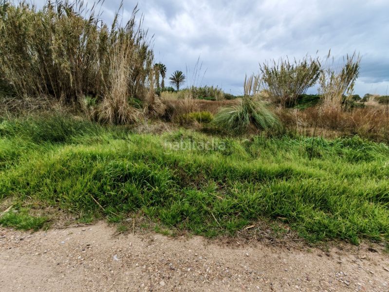 Foto 5a8d9dd3-ce13-483a-ab4f-1840ca1b5f08. Finca rústica a polígono 19 a El Dossel - Mareny de San Lorenzo Cullera