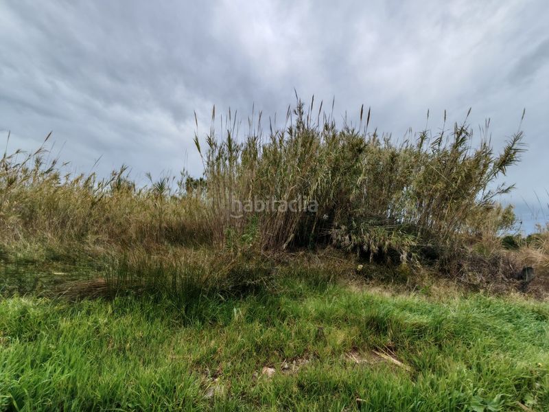 Foto 95a2f4e1-695b-4dd6-a837-5a6a2a7c5605. Finca rústica a polígono 19 a El Dossel - Mareny de San Lorenzo Cullera