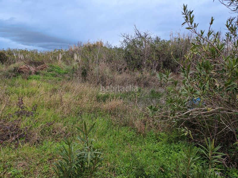 Foto a32b7073-2ac4-4e9e-8084-22101bff3880. Finca rústica a polígono 19 a El Dossel - Mareny de San Lorenzo Cullera