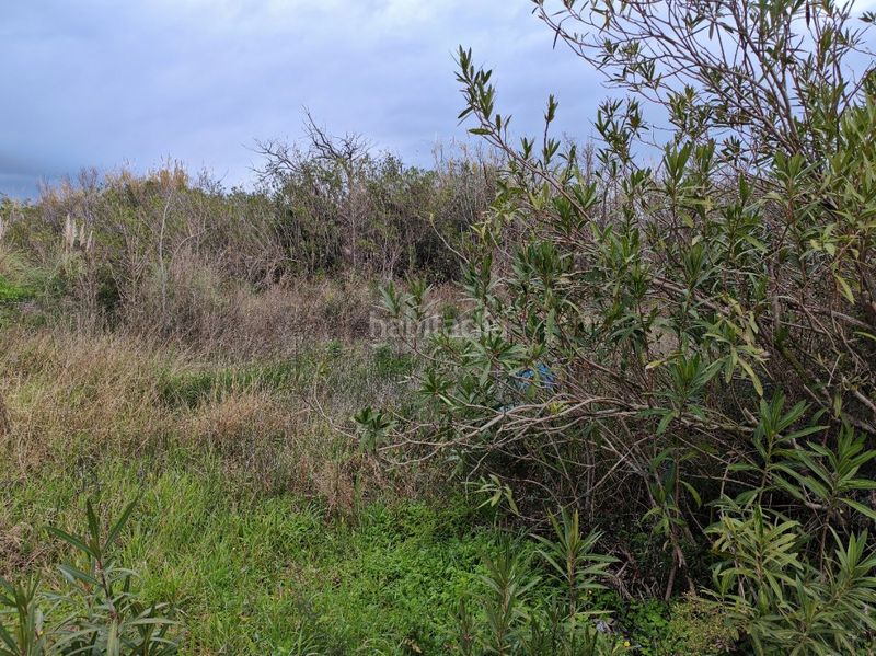 Foto dfb57143-4051-4228-a790-e1f75bc3c32a. Finca rústica a polígono 19 a El Dossel - Mareny de San Lorenzo Cullera