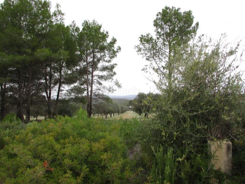 Foto f28906ea-6743-4341-9afc-51efae64d3da. Terrain résidentiel dans llanorel dans Macastre