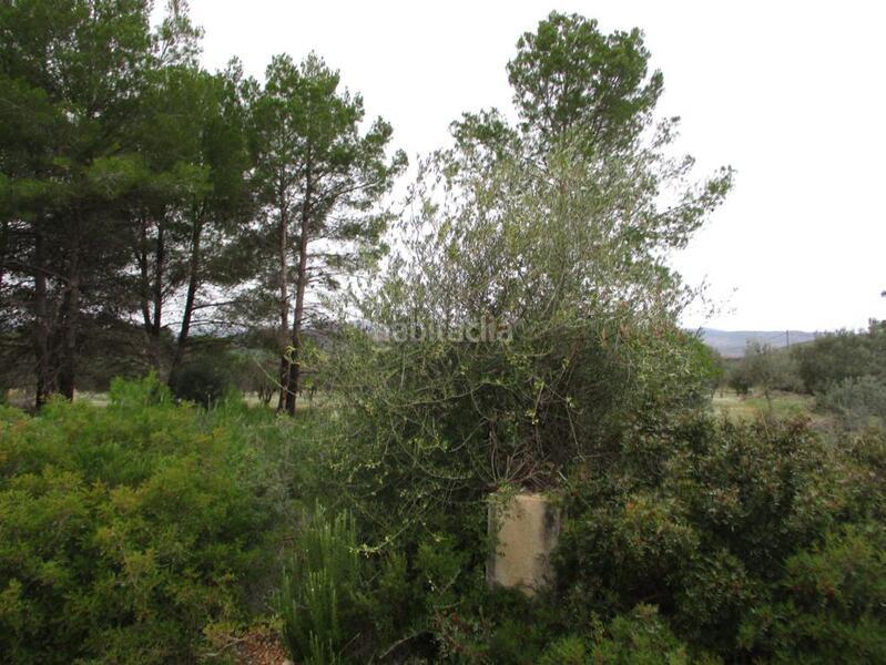 Foto 1c248474-193d-4116-8fb2-bec9319c785f. Wohngrundstück in llanorel in Macastre