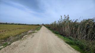 Rural plot in Bases. sollana