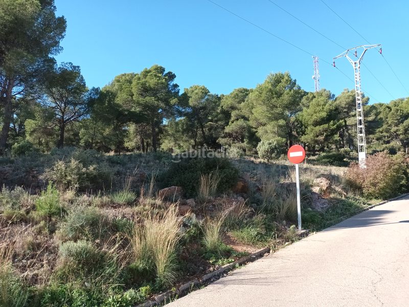 Foto c8426ada-6efe-4151-b2ee-32feda644f3a. Finca rústica a poligono 35 a Serra