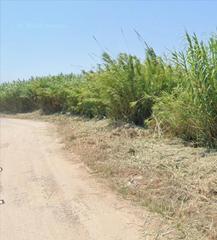 Finca rústica  Proc. simplificado, sn. Finca rústica de 2.070 m, ubicada a 300mts del mar en la localid