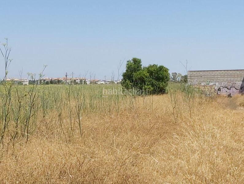 Foto 6b06fe88-4450-4626-b342-d439d36958bc. Terrain industriel dans vi. poligono 33. parcela 198 dans Sagunt