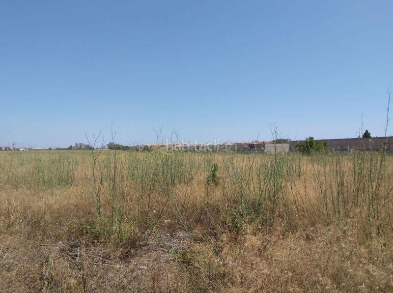 Foto c379f193-40bc-4911-a4be-1e9f78eb0065. Terrain industriel dans vi. poligono 33. parcela 198 dans Sagunt