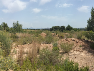 Fondo rustico  Pta. chacarell pol 27, parcela 240