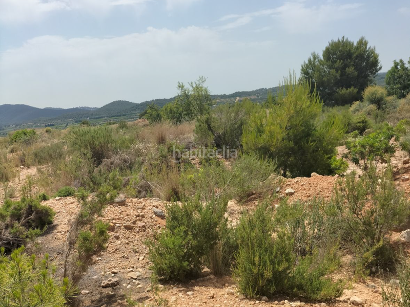 Foto 2379c5c1-638e-474e-8f11-fd3905ebb8e9. Landgut in pta. chacarell pol 27 in Vilamarxant