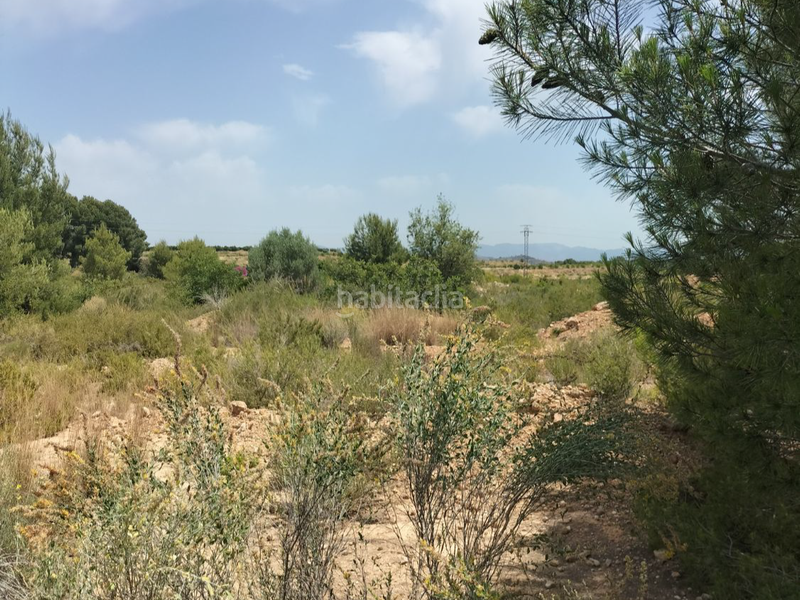 Foto c5a1493d-5136-48ed-ab81-d65a241c033d. Landgut in pta. chacarell pol 27 in Vilamarxant