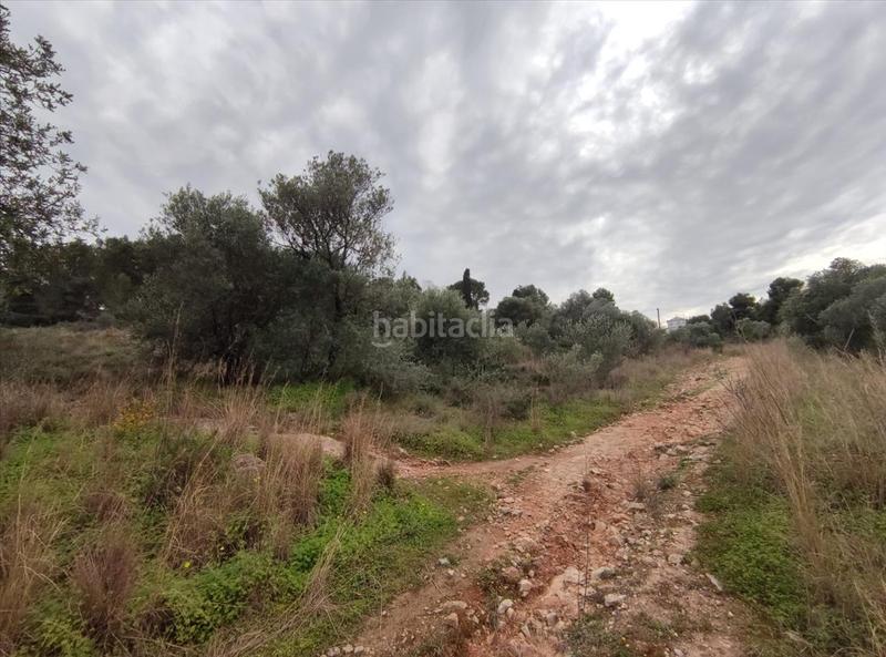 Foto 1cccd581-0a4d-449c-990e-4c91b731ff2a. Finca rústica a poligono 63 a Urbanitzacions i Pedanies Nord Alzira