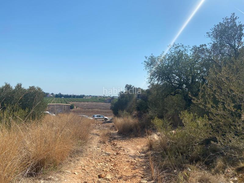 Foto 1e751074-b0b2-44a6-8515-63db7d5f9f0e. Finca rústica a poligono 63 a Urbanitzacions i Pedanies Nord Alzira