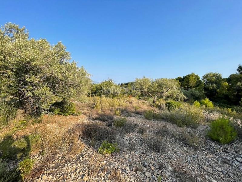 Foto 1eed6e4f-c8af-4b0d-aac0-19aa365f45b5. Finca rústica a poligono 63 a Urbanitzacions i Pedanies Nord Alzira