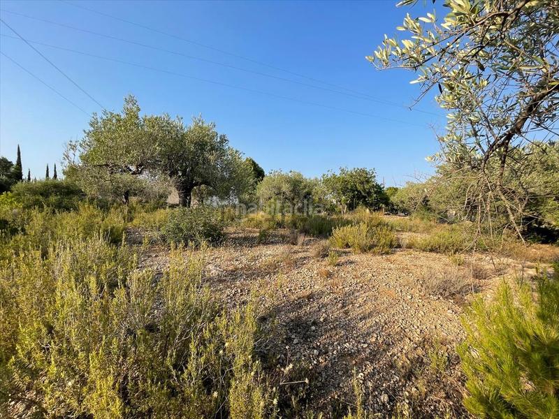 Foto 87aa0f20-ef06-42e5-bfb3-7a3aaabcf8d0. Finca rústica a poligono 63 a Urbanitzacions i Pedanies Nord Alzira