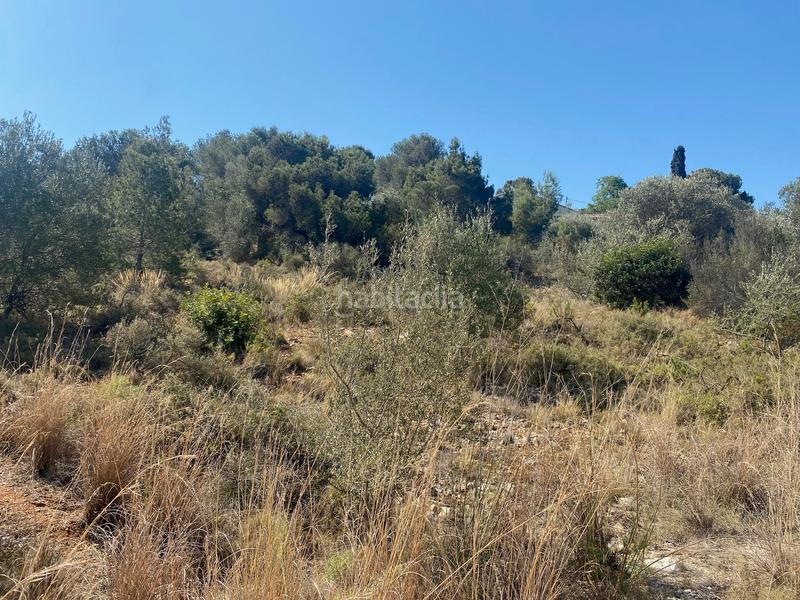 Foto e006ba1b-3f17-412f-b690-b0e90793f446. Finca rústica a poligono 63 a Urbanitzacions i Pedanies Nord Alzira