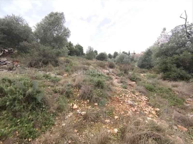 Foto fe67bdbf-fab5-4f2a-a77a-799636b76dea. Finca rústica a poligono 63 a Urbanitzacions i Pedanies Nord Alzira