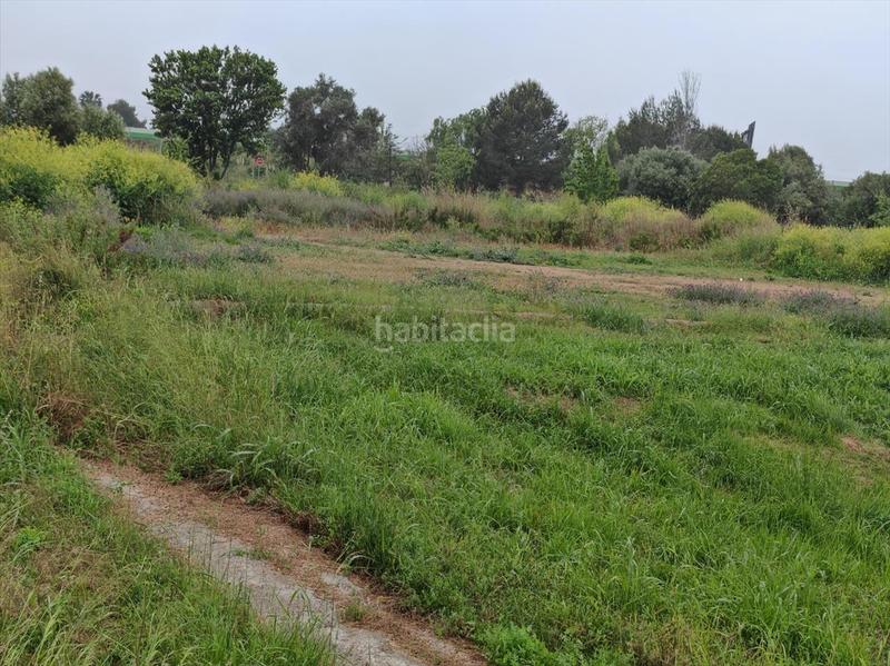 Foto 74dd00e3-81c2-42d5-82e7-b6bf882c1fe0. Rural plot in proc. simplificado in El Dossel - Mareny de San Lorenzo Cullera