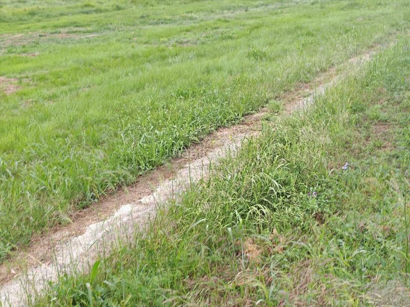 Foto cda705fb-ce5d-40ad-b284-0b4cd2dbff4d. Rural plot in proc. simplificado in El Dossel - Mareny de San Lorenzo Cullera