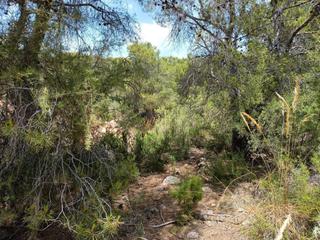 Rural plot in Chacarerll