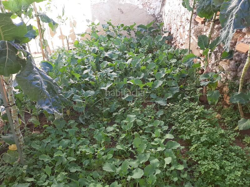 Foto 107f9d47-e5c9-4419-8c24-b75eb3f4631d. Casa in san antoni in Carcaixent