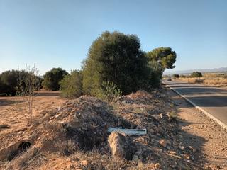 Terreny residencial a GALLIPONT Polígono 22 Parcela 8