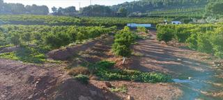 Propriété à Quebranta. Venta de finca rústica en polígono quebranta