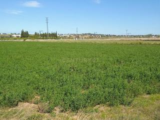 Terreno residencial en POLIGONO 46