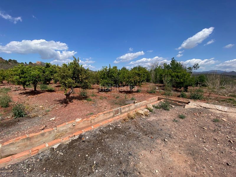 Foto 5ab4b67c-7b4d-411b-b3e8-d5c7a4e5783e. Finca rústica en quebranta en Torres Torres