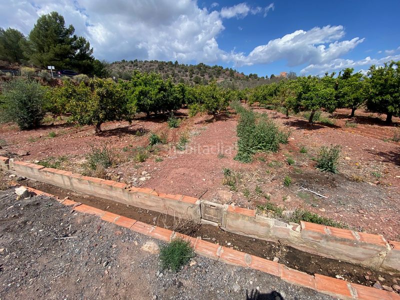 Foto 5c47e605-1691-4934-a3a4-4d0adf3f56e0. Finca rústica en quebranta en Torres Torres