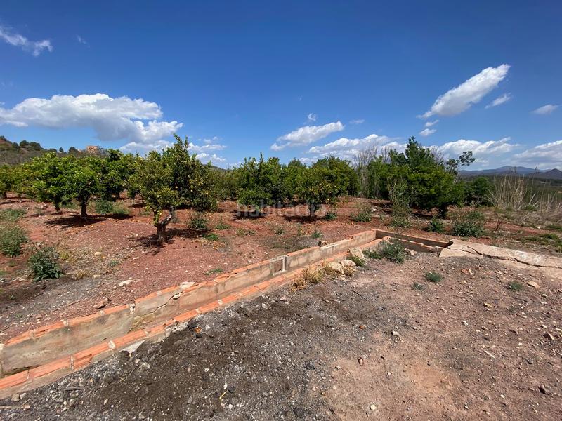 Foto 5ab4b67c-7b4d-411b-b3e8-d5c7a4e5783e. Landgut in quebranta in Torres Torres