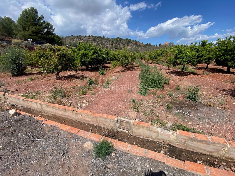 Foto 5c47e605-1691-4934-a3a4-4d0adf3f56e0. Landgut in quebranta in Torres Torres