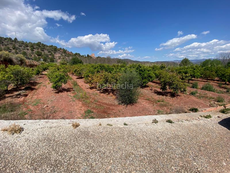 Foto f873d1c3-5cd2-434a-8976-1a8c827c22e1. Landgut in quebranta in Torres Torres