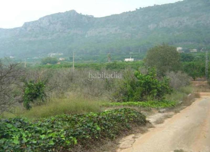 Foto 1b9bd729-51d8-485f-bef2-7db342db2f0f. Finca rústica a partida la casella a Urbanitzacions i Pedanies Sud Alzira