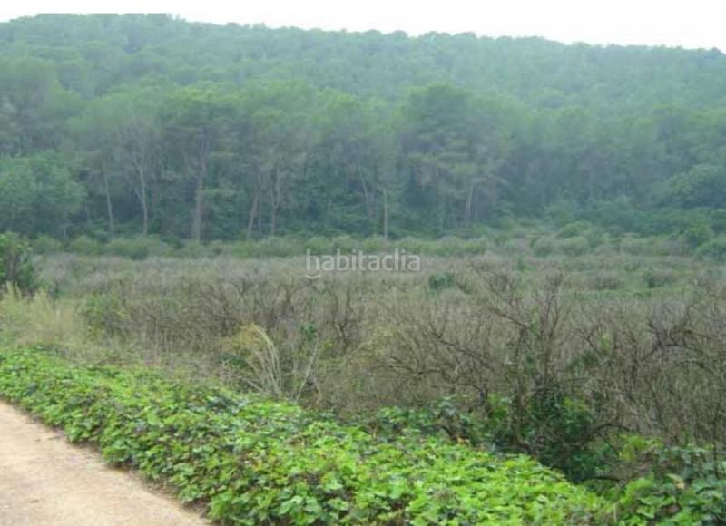 Foto 68d86706-3b7b-48a9-86a0-3ac8cfb12e39. Finca rústica a partida la casella a Urbanitzacions i Pedanies Sud Alzira