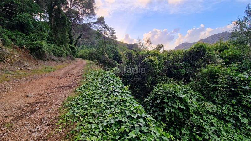 Foto 76ac029d-74e5-48e9-b61b-6ad8cf75b0c2. Finca rústica a partida la casella a Urbanitzacions i Pedanies Sud Alzira