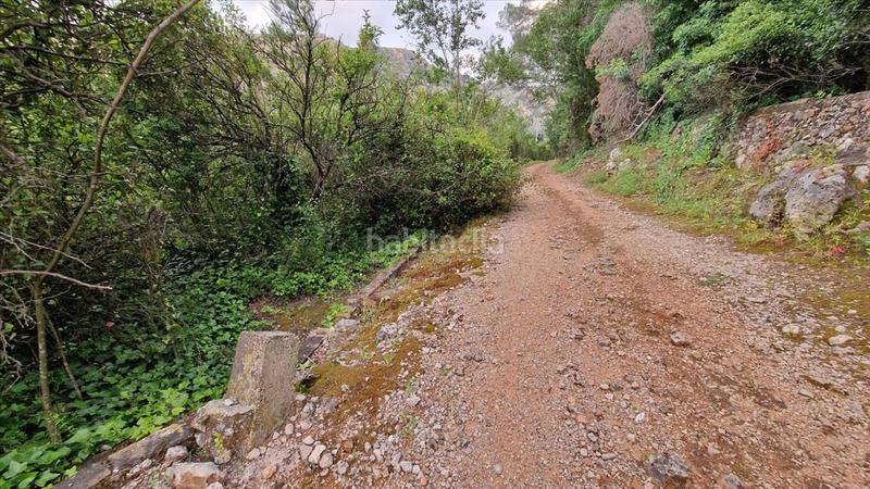 Foto 7cd5e83b-ec75-4f69-a1d8-1696f2a2acb6. Finca rústica a partida la casella a Urbanitzacions i Pedanies Sud Alzira