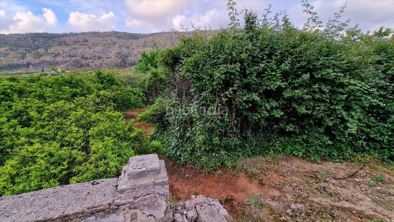 Foto 97465f41-f074-4d90-adc2-23cad6619418. Finca rústica a partida la casella a Urbanitzacions i Pedanies Sud Alzira